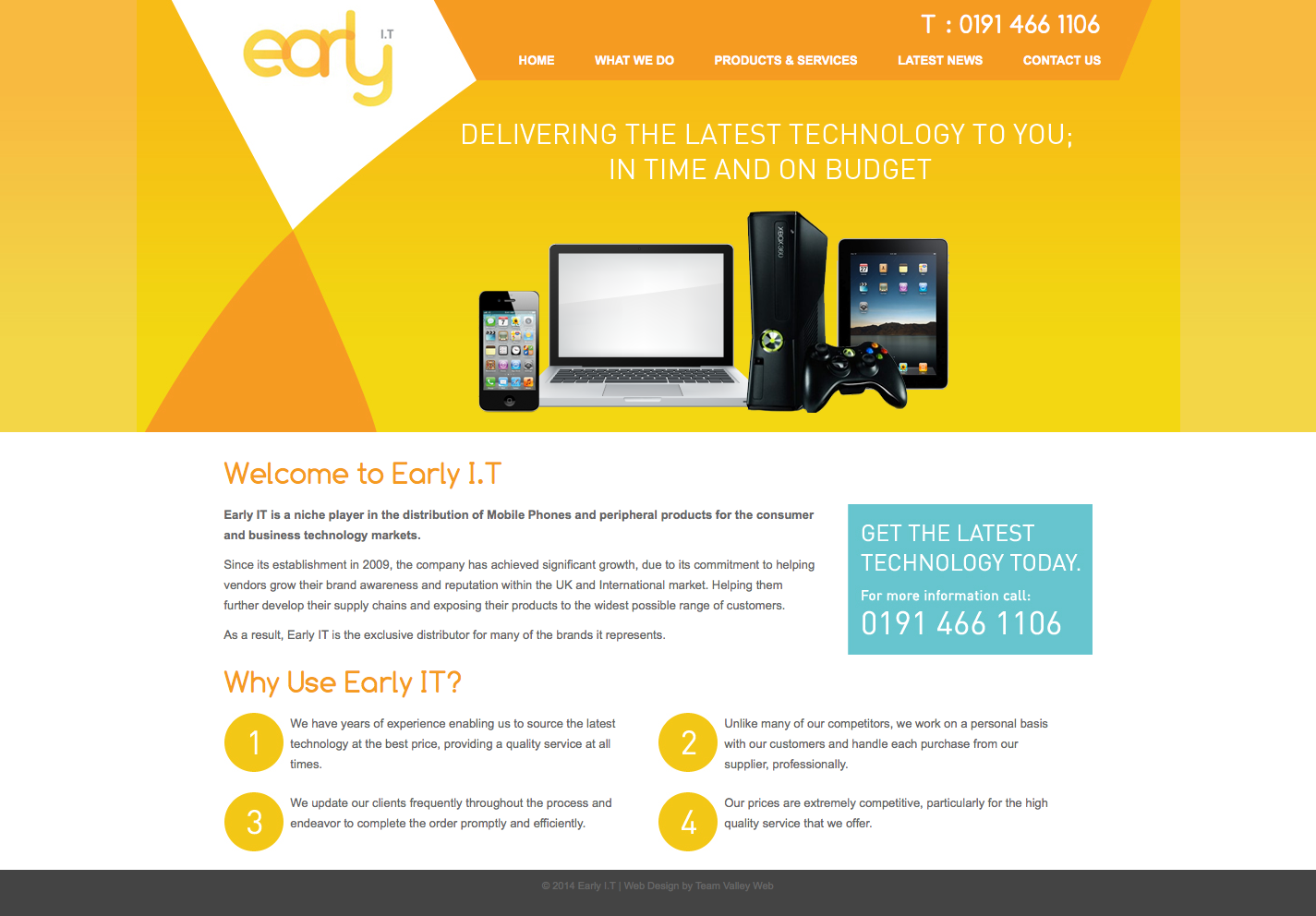 Early IT website design